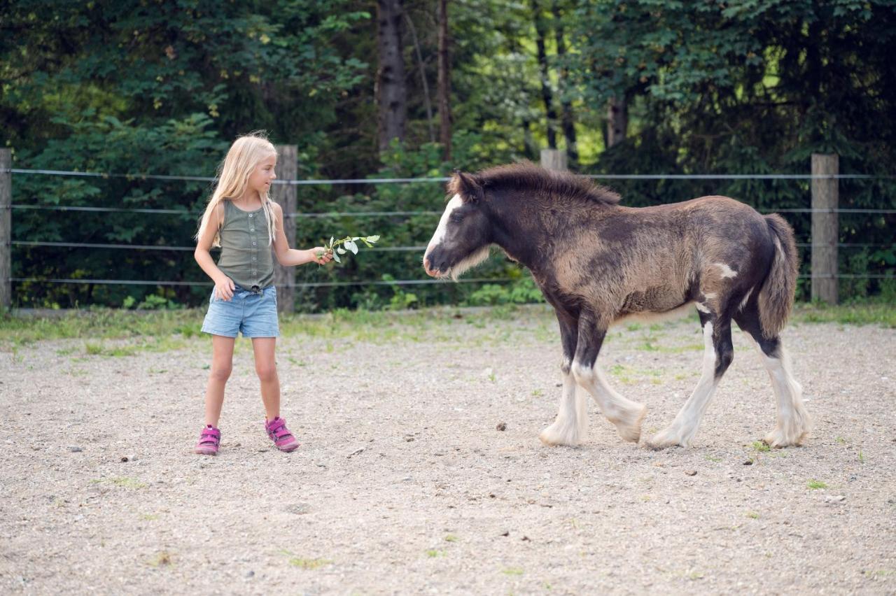 Familienbauernhof Samerhof 파르베르펜 외부 사진