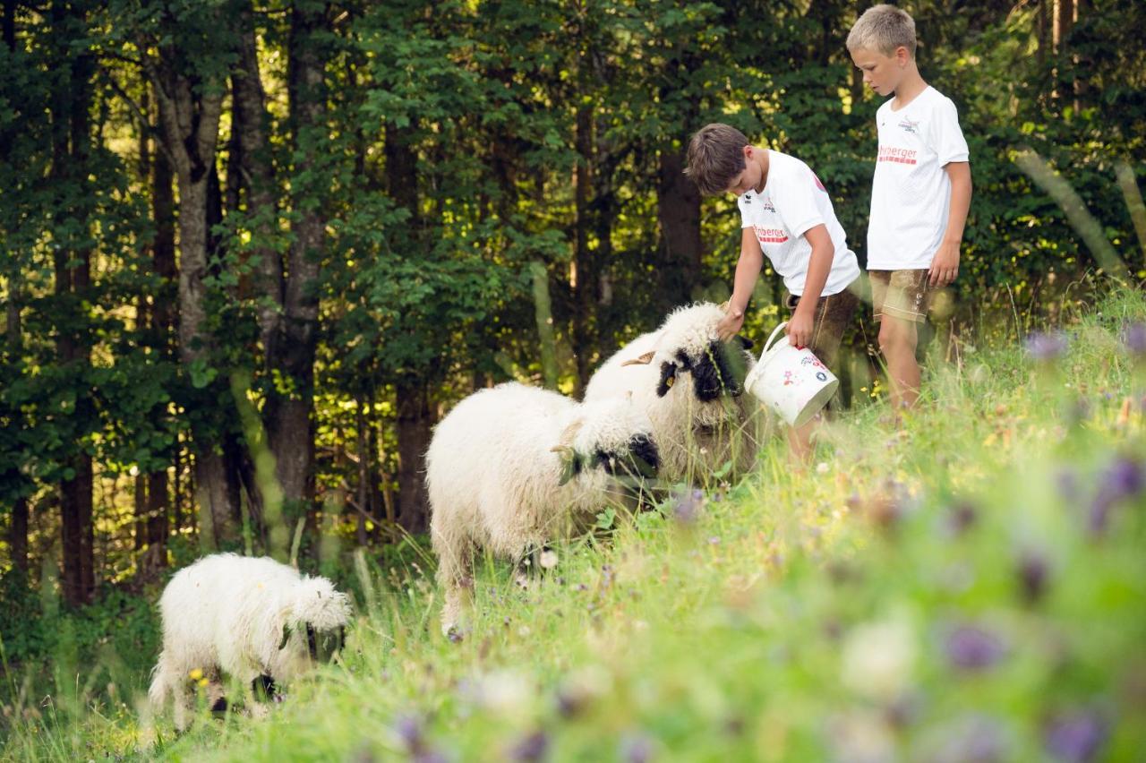 Familienbauernhof Samerhof 파르베르펜 외부 사진