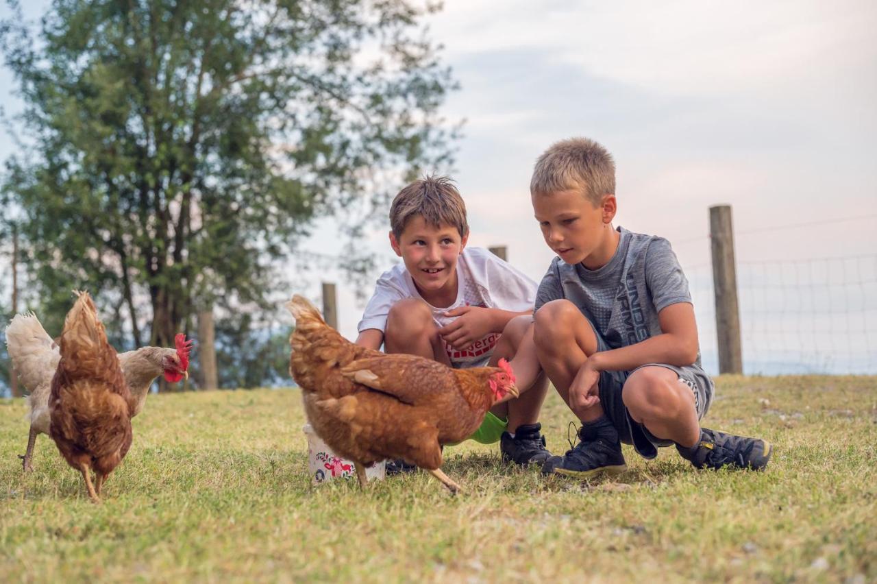 Familienbauernhof Samerhof 파르베르펜 외부 사진