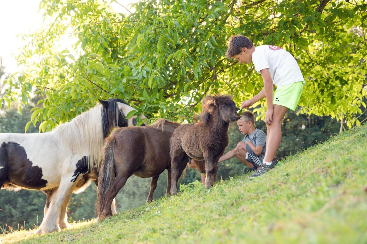 Familienbauernhof Samerhof 파르베르펜 외부 사진